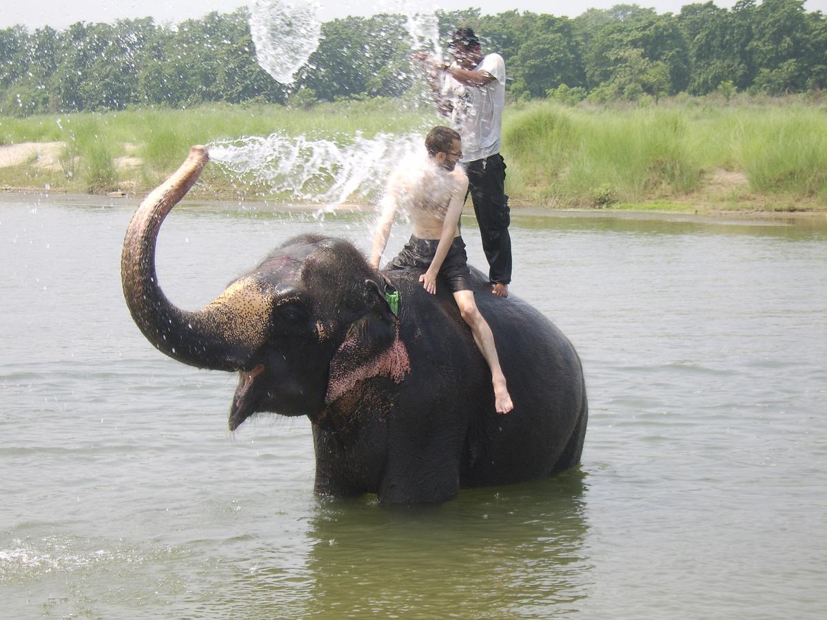 Rainbow Safari Resort Sauraha Zewnętrze zdjęcie