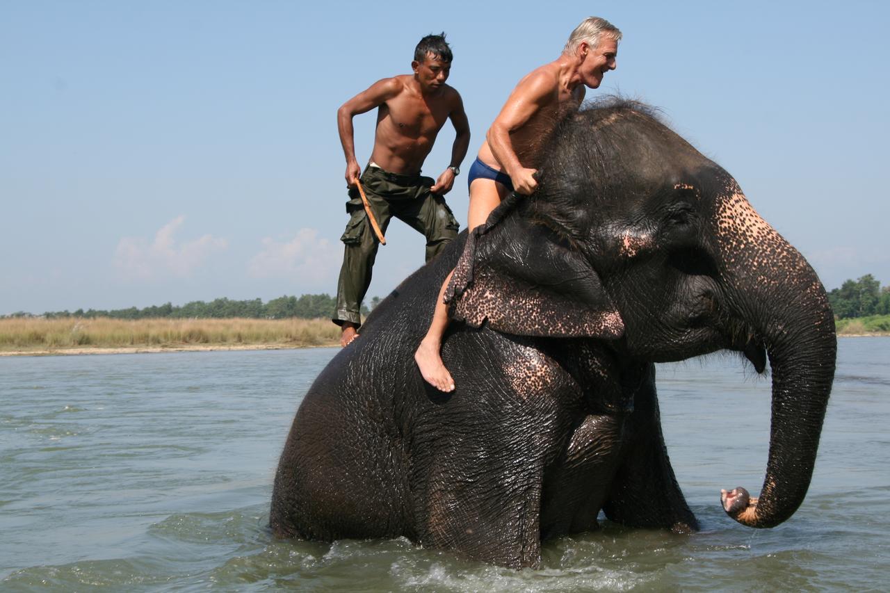 Rainbow Safari Resort Sauraha Zewnętrze zdjęcie