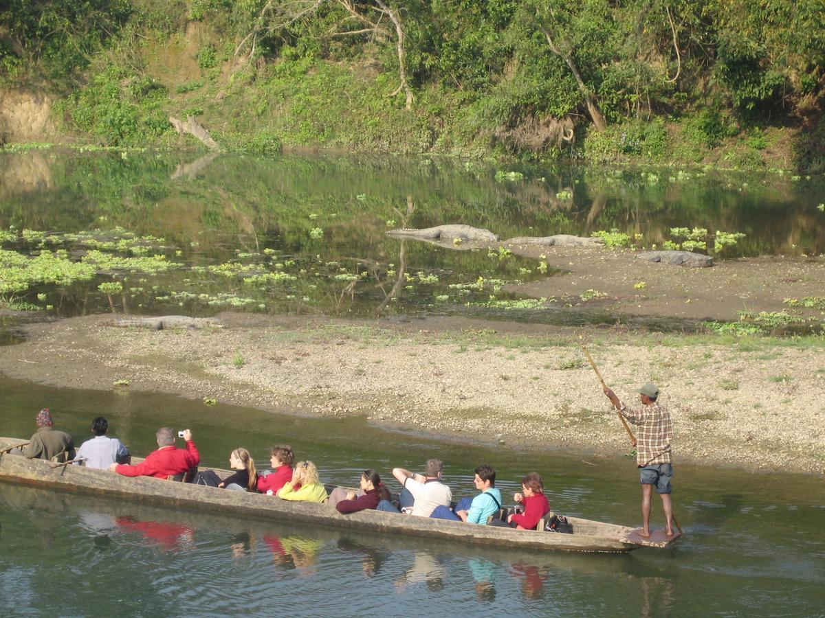 Rainbow Safari Resort Sauraha Zewnętrze zdjęcie