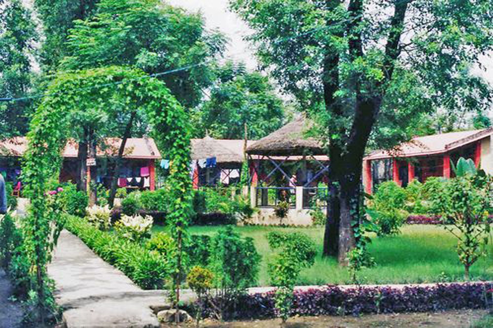 Rainbow Safari Resort Sauraha Zewnętrze zdjęcie