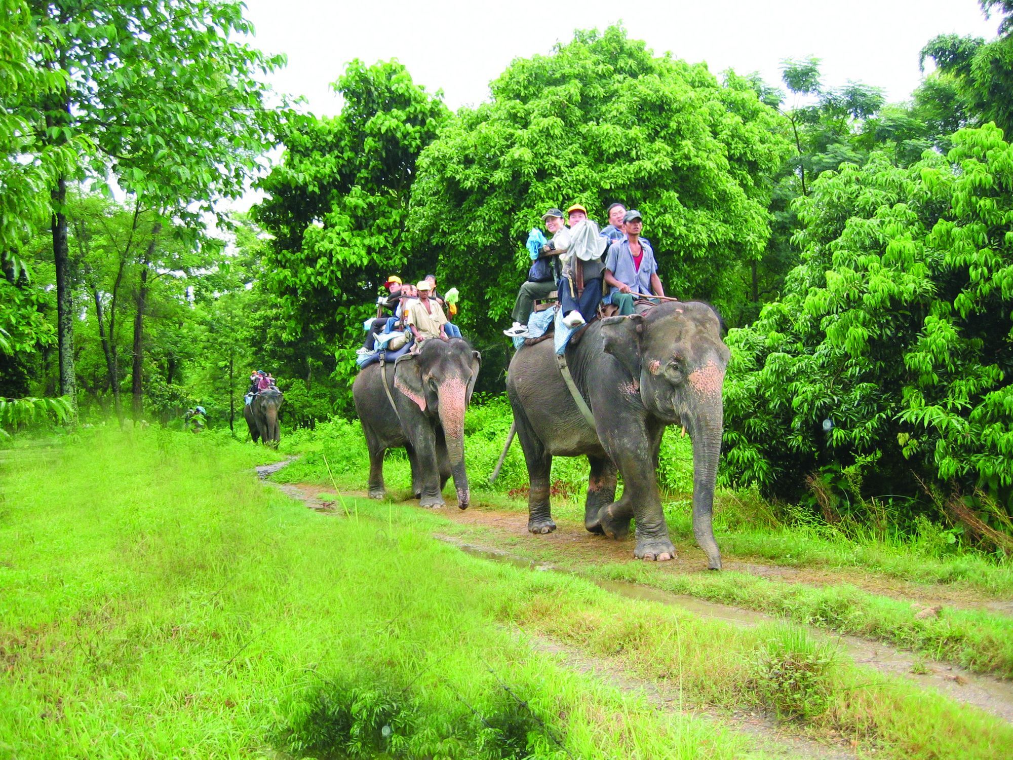 Rainbow Safari Resort Sauraha Zewnętrze zdjęcie