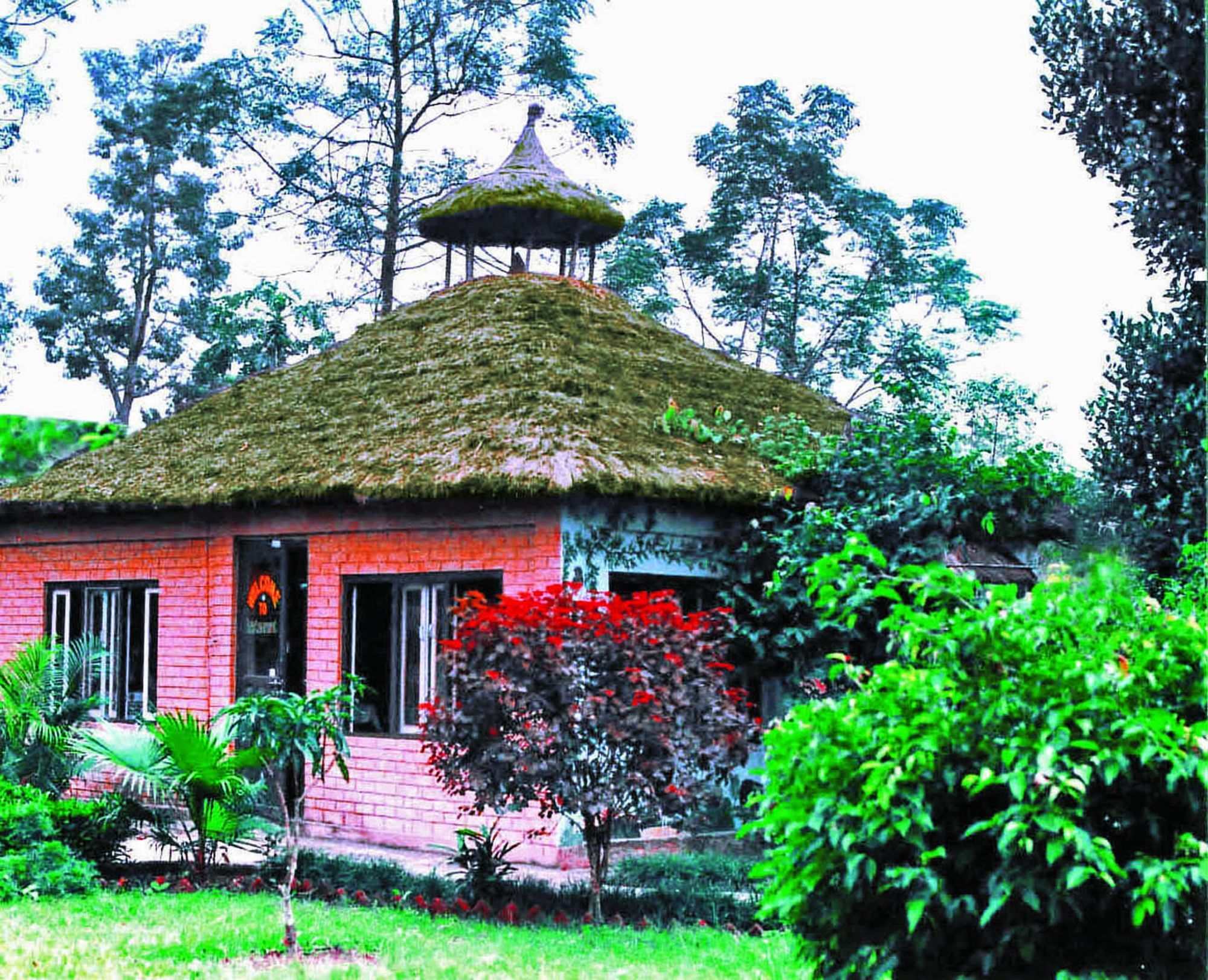 Rainbow Safari Resort Sauraha Zewnętrze zdjęcie